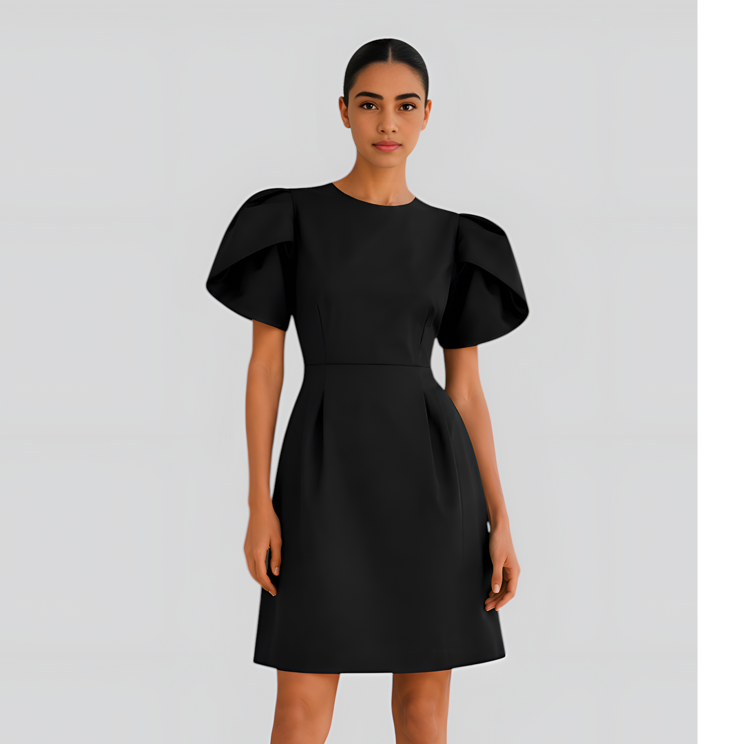 Puff Sleeve Mini Dress