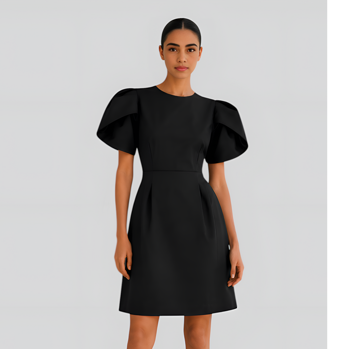 Puff Sleeve Mini Dress