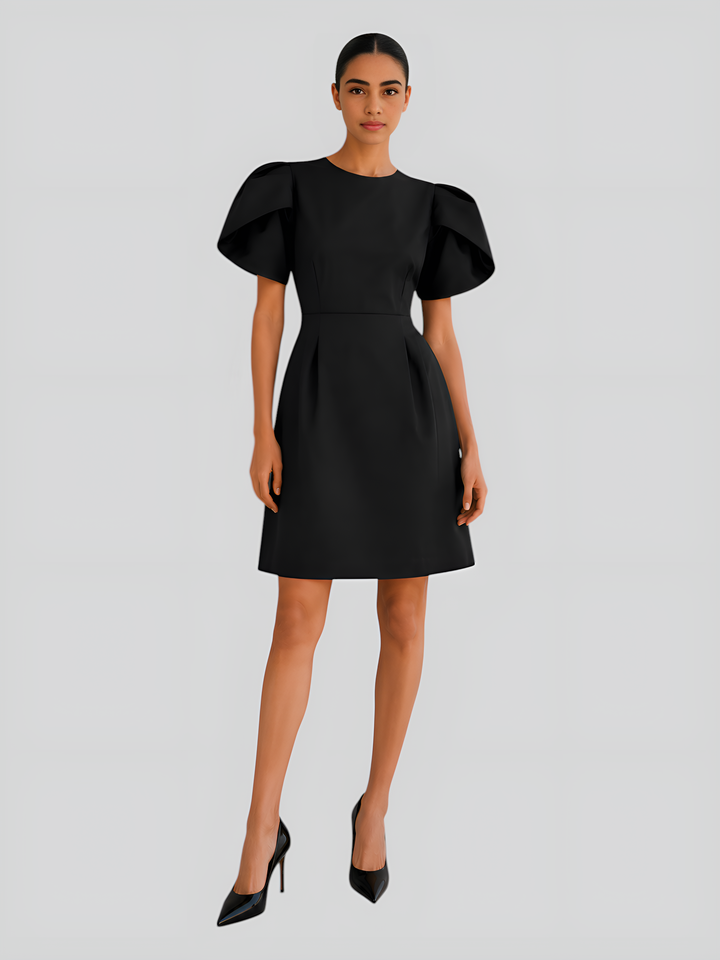 Puff Sleeve Mini Dress
