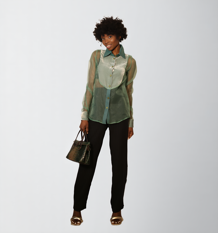 Silk Velvet Lightweight Organza Sheer Blouse