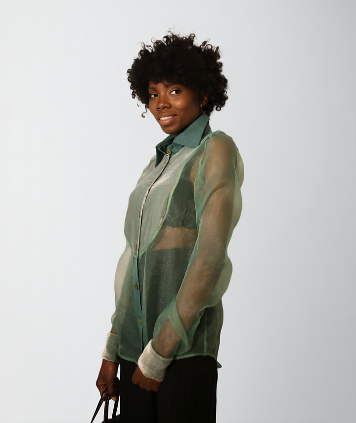 Silk Velvet Lightweight Organza Sheer Blouse